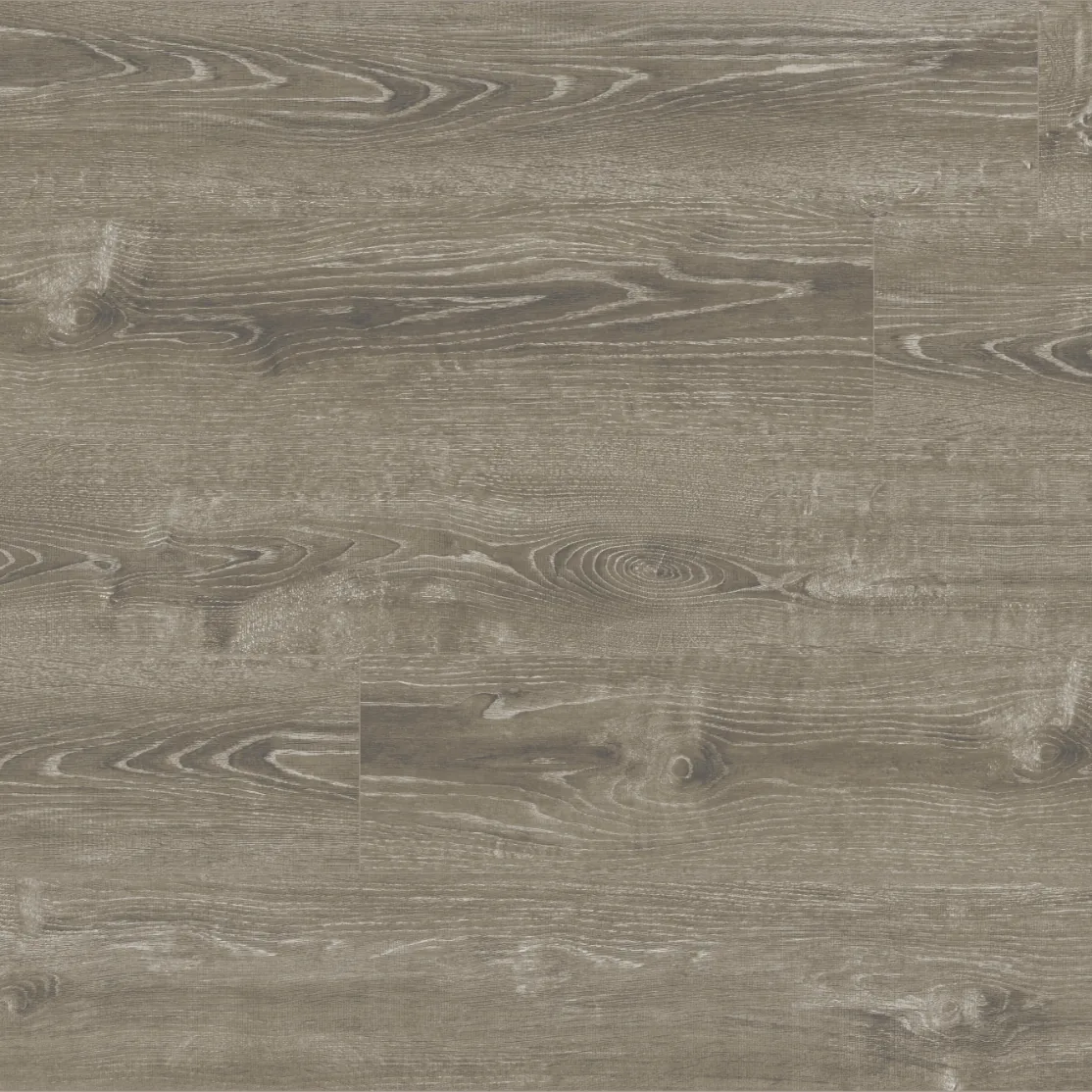 Ash Gray color